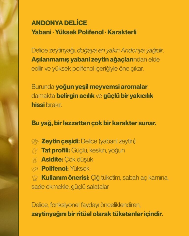 Delice Zeytinyağı 250 mL