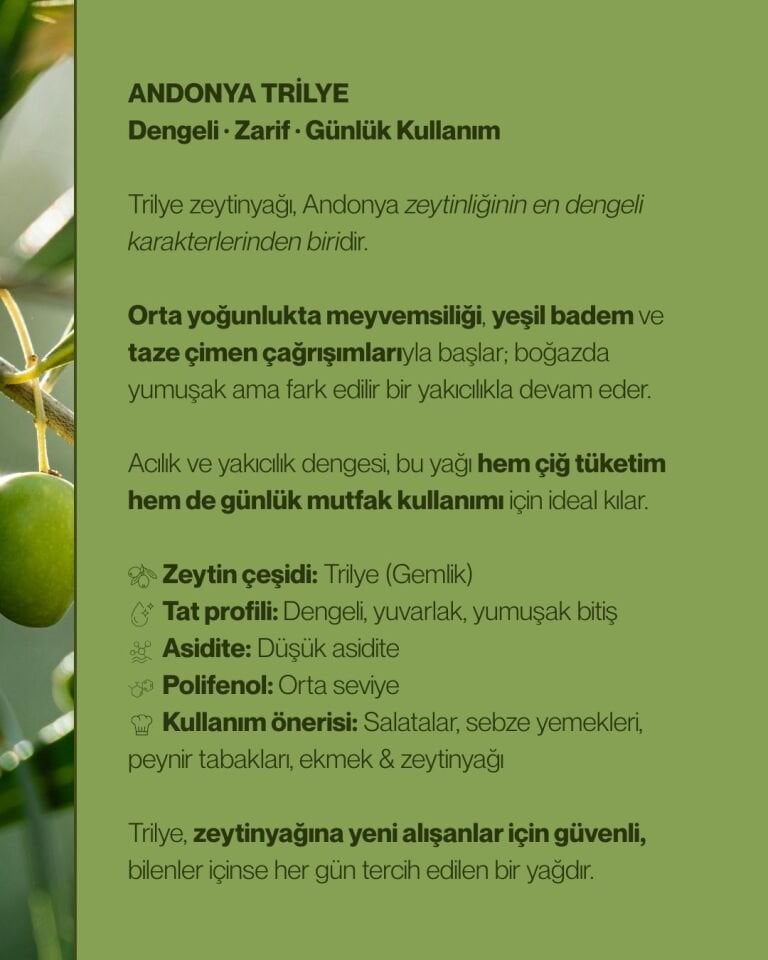 Trilye Zeytinyağ 750 mL