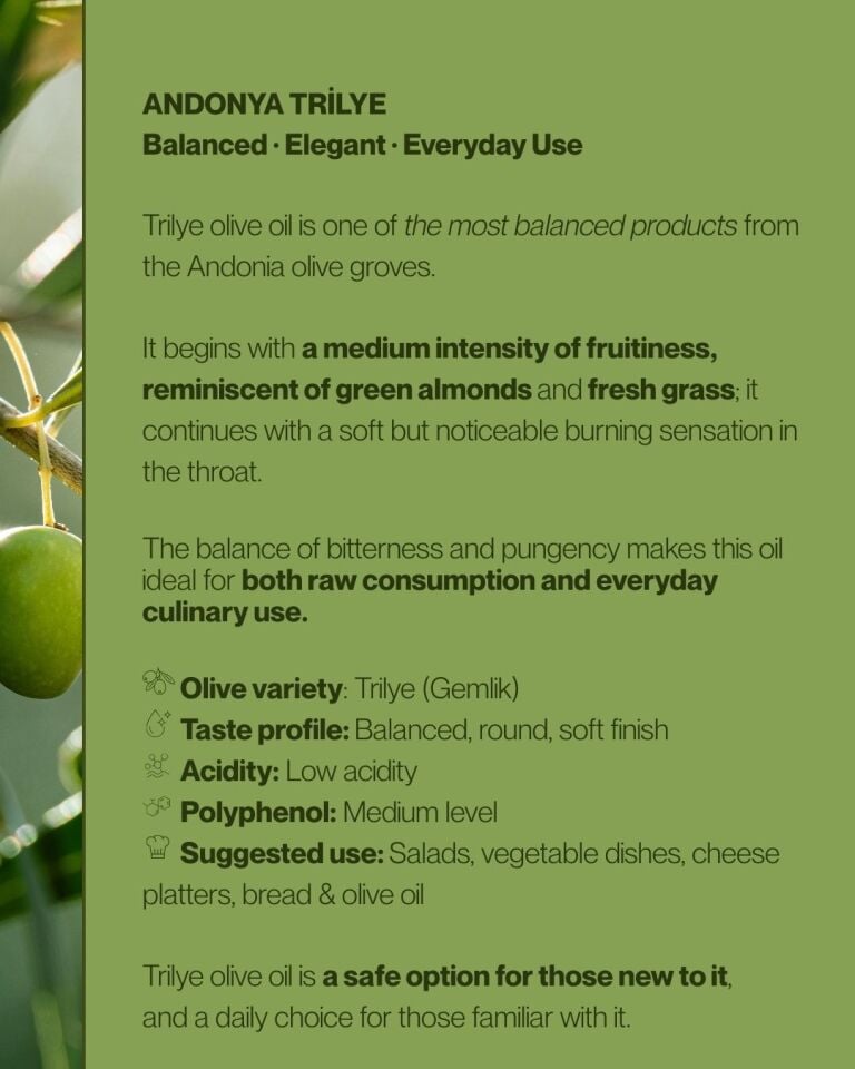 Trilye Olive Oil 750 mL